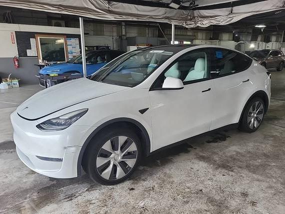 TESLA MODEL Y 2020 5YJYGDEE2LF032612 image